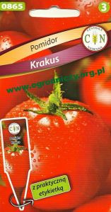 Pomidor Krakus